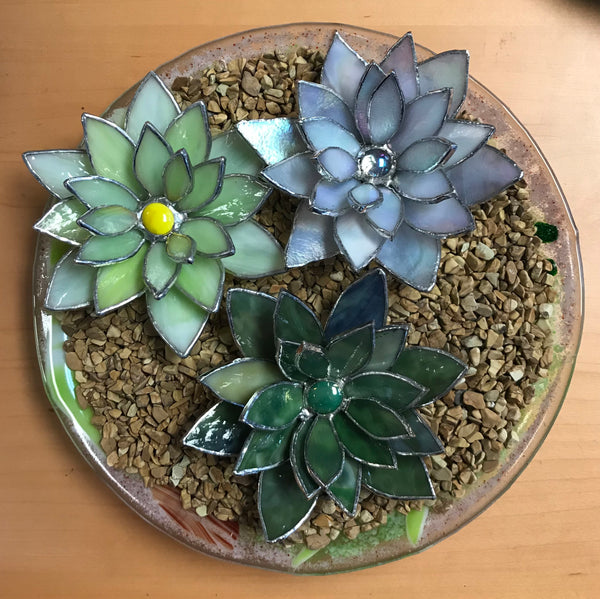 Succulents: Make two in class